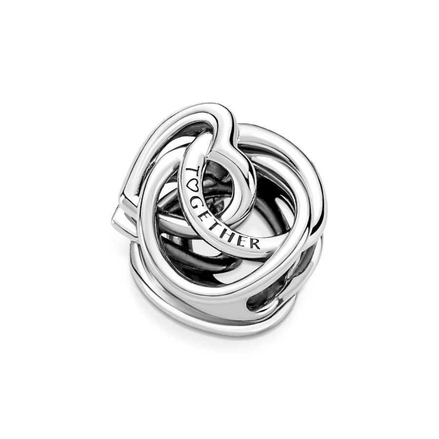 Pandora Family Always Encircled Heart Charm - Image 4